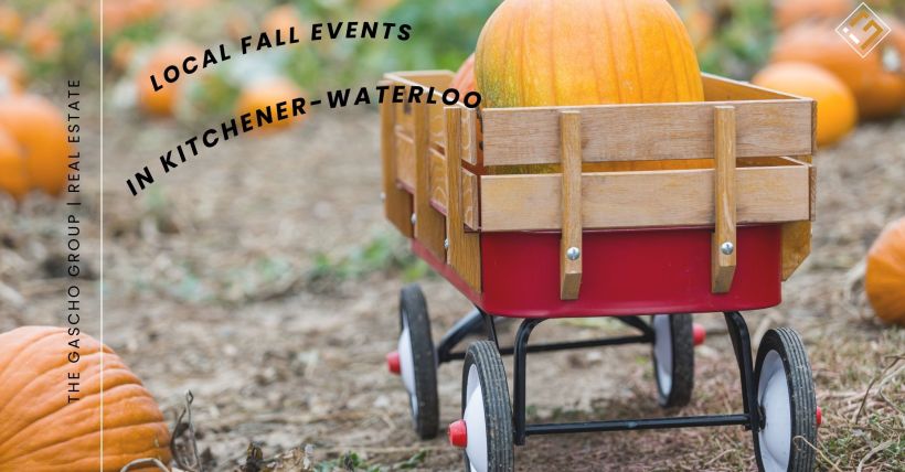Local Fall Events to Check Out in Kitchener-Waterloo